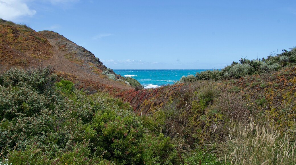 Shoreham Beach - Victoria, Australia