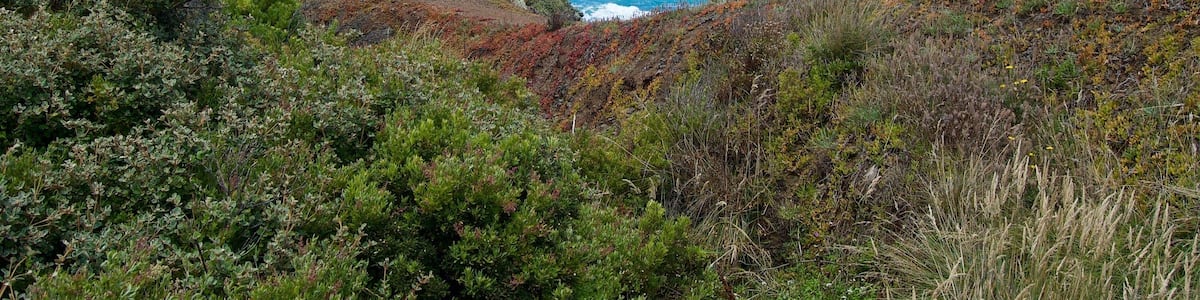 Shoreham Beach - Victoria, Australia