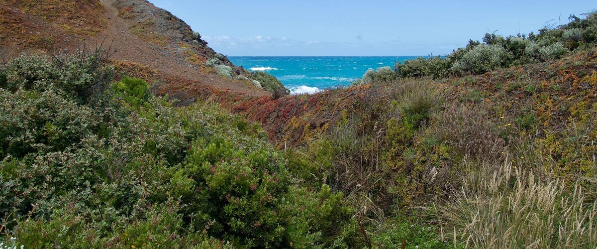 A coastal landscape with rocky terrain and dense vegetation.