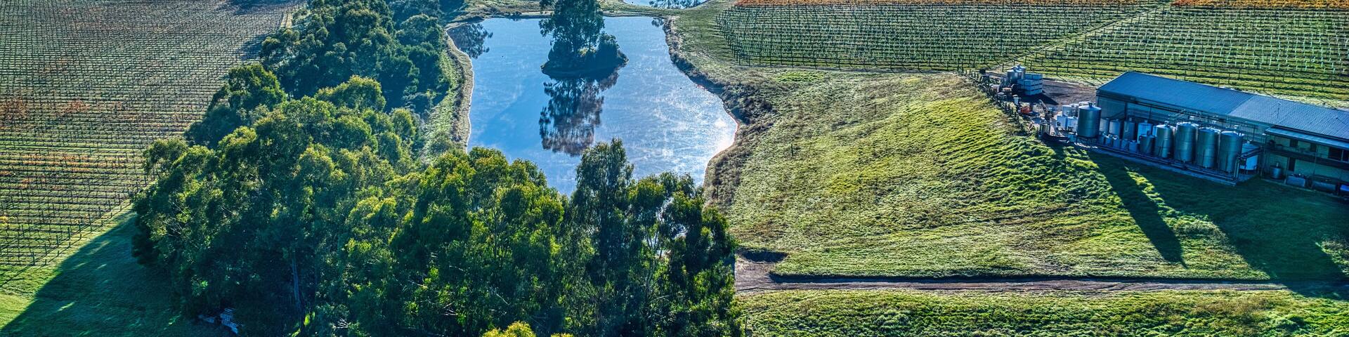 Aerial over Yarra Valley vineyard with a dam and fog in the distance