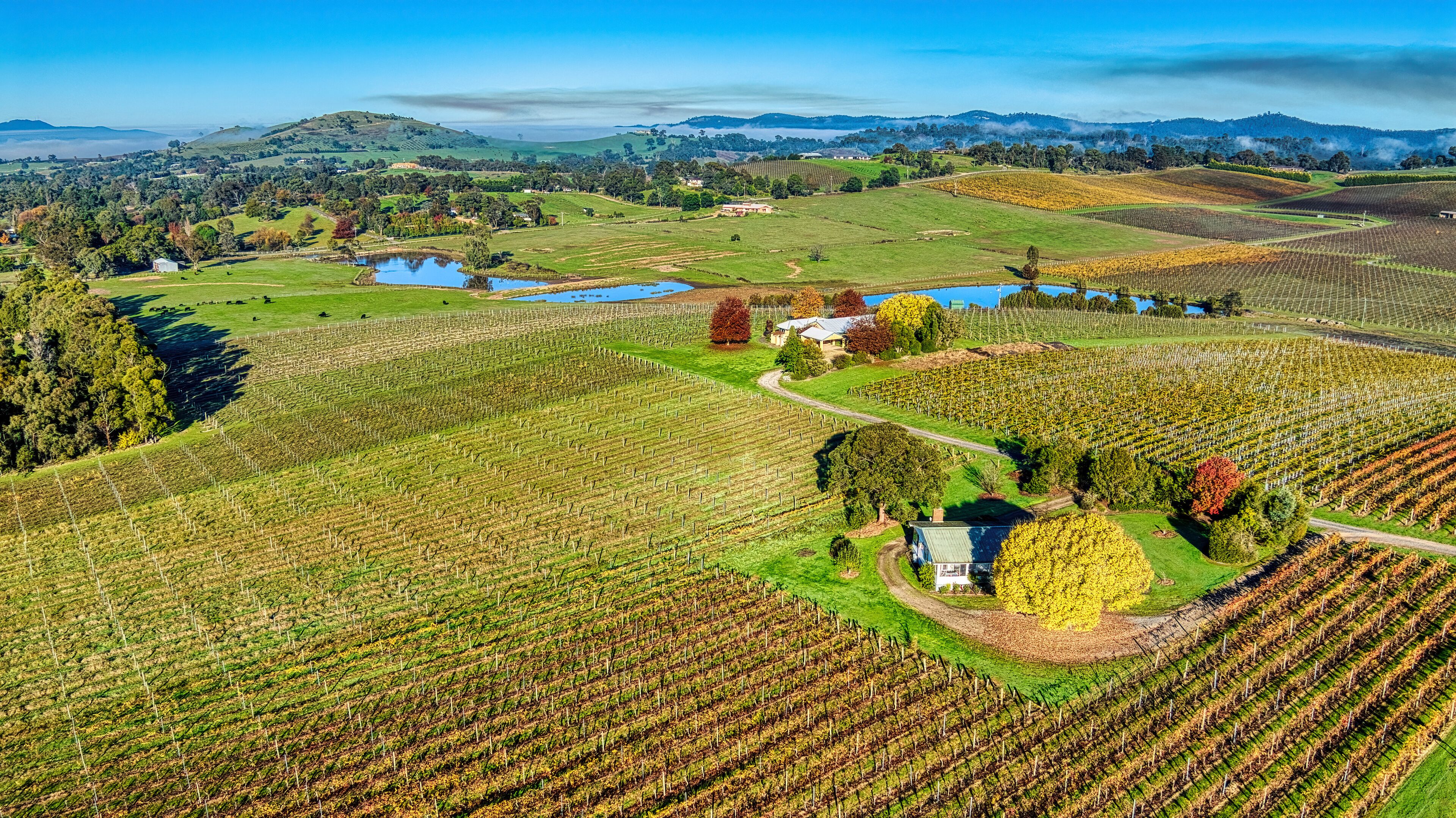 ディクソンズ クリーク