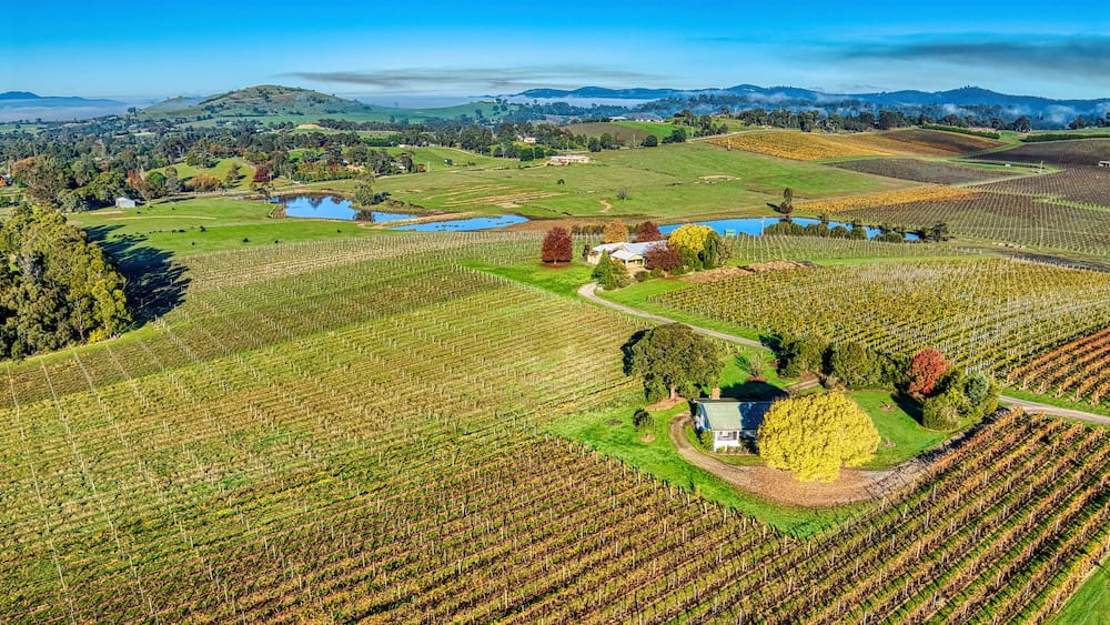 Autumn colours around a farmhouse in the vineyards near Yarra Glen