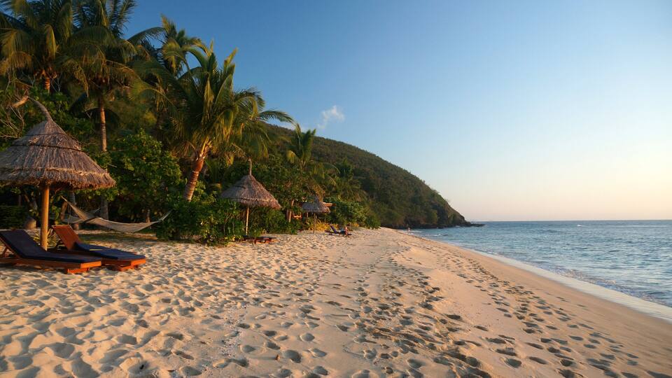 A sandy beach with palm trees and thatched-roof huts.