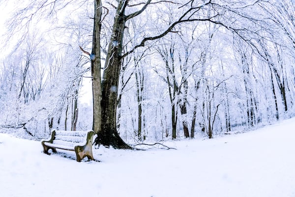 Winter landscape with snow covered trees