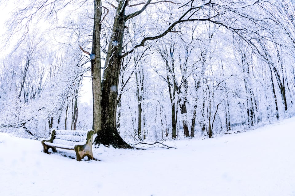A snow-covered park with benches and trees.