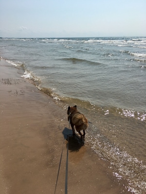 #aquatrove Lake Ontario