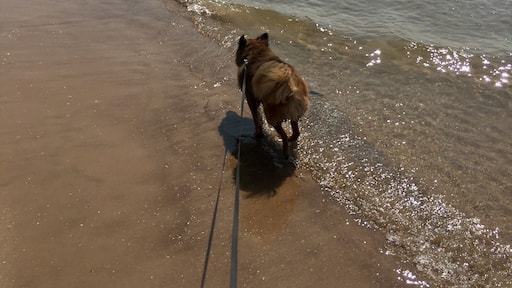 #aquatrove Lake Ontario