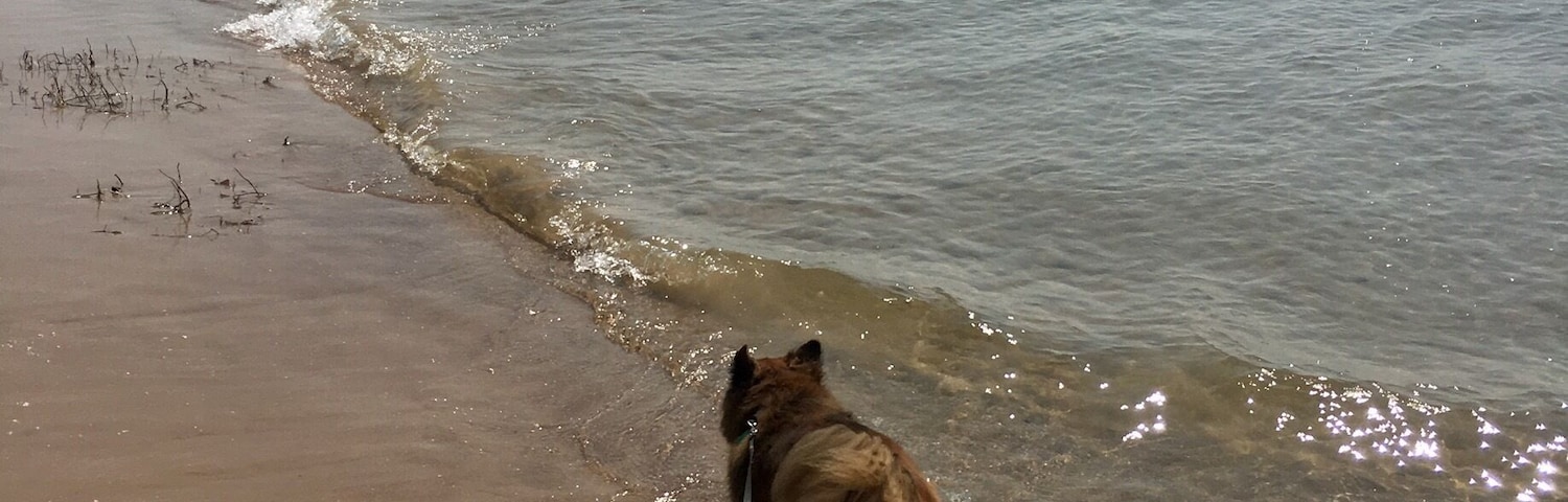 #aquatrove Lake Ontario