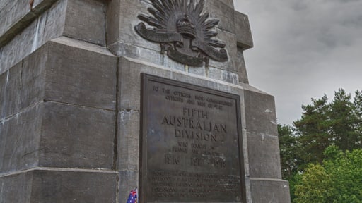 Lest We Forget....
Today it is the 100th anniversary of armistice that ended the First World War.
It is devastating to see how much this war has affected this area even after a hundred years.