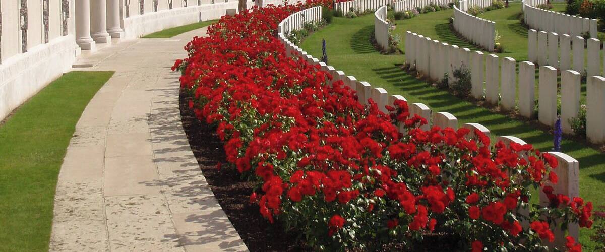 Tyn Cot Cemetery - Vibrant Colour