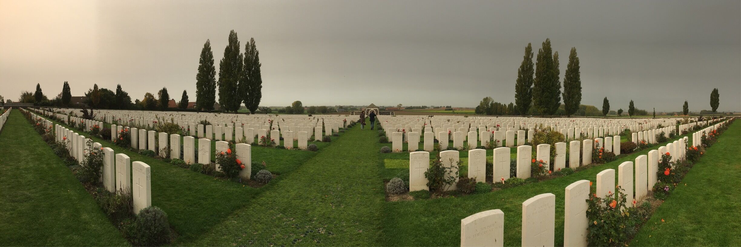 A cemetery with rows of white headstones, green grass, and tall trees.
