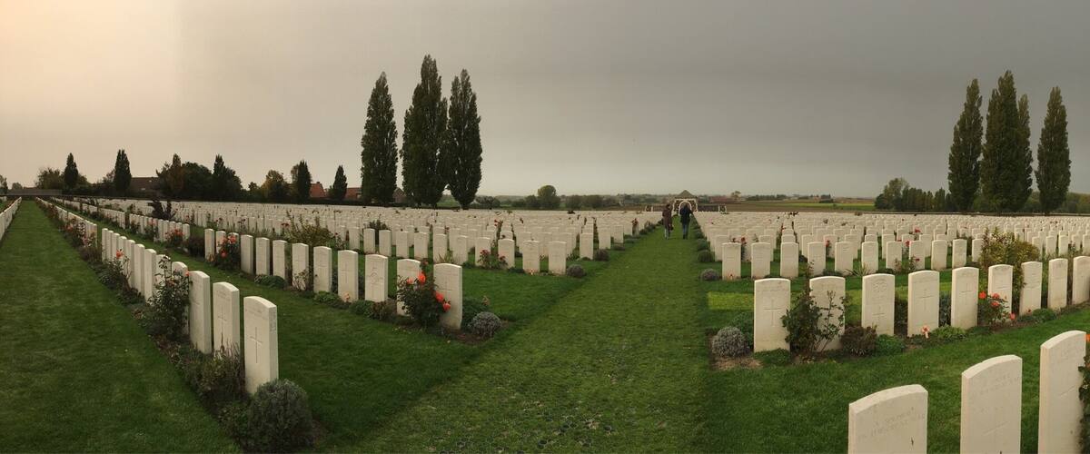 A cemetery with rows of white headstones, green grass, and tall trees.