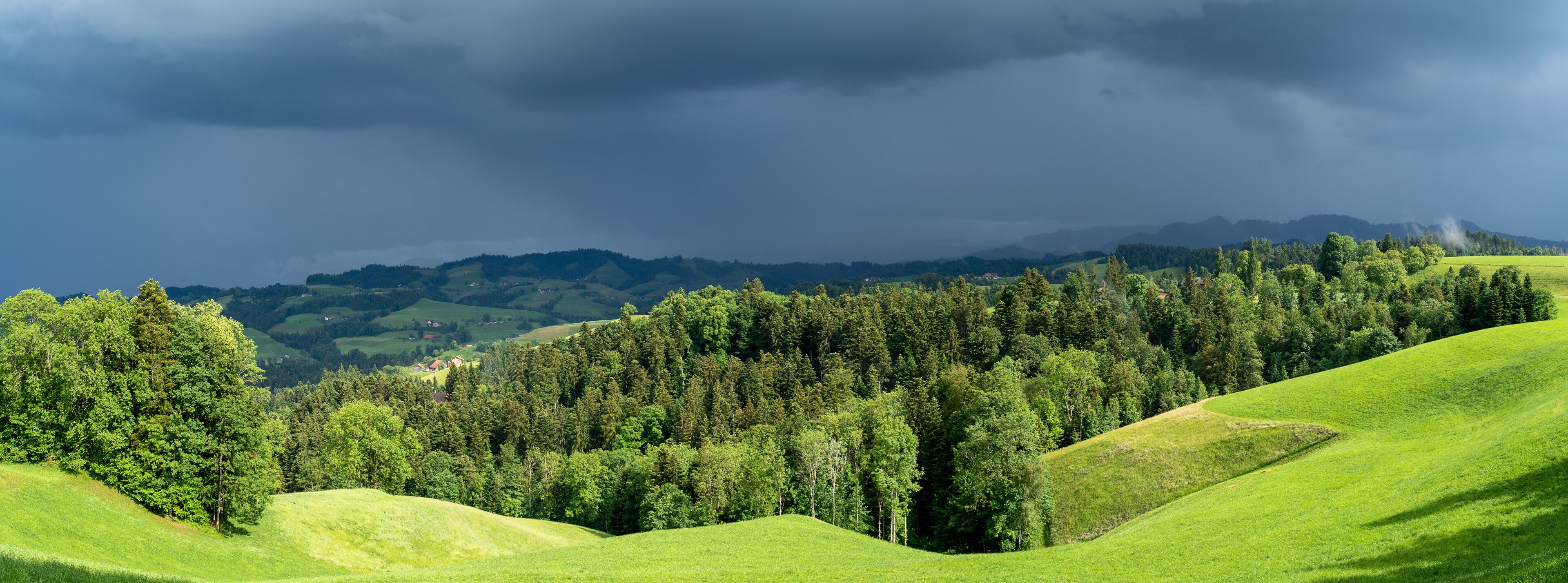 Rolling green hills, dense forests, and distant mountains under a cloudy sky.