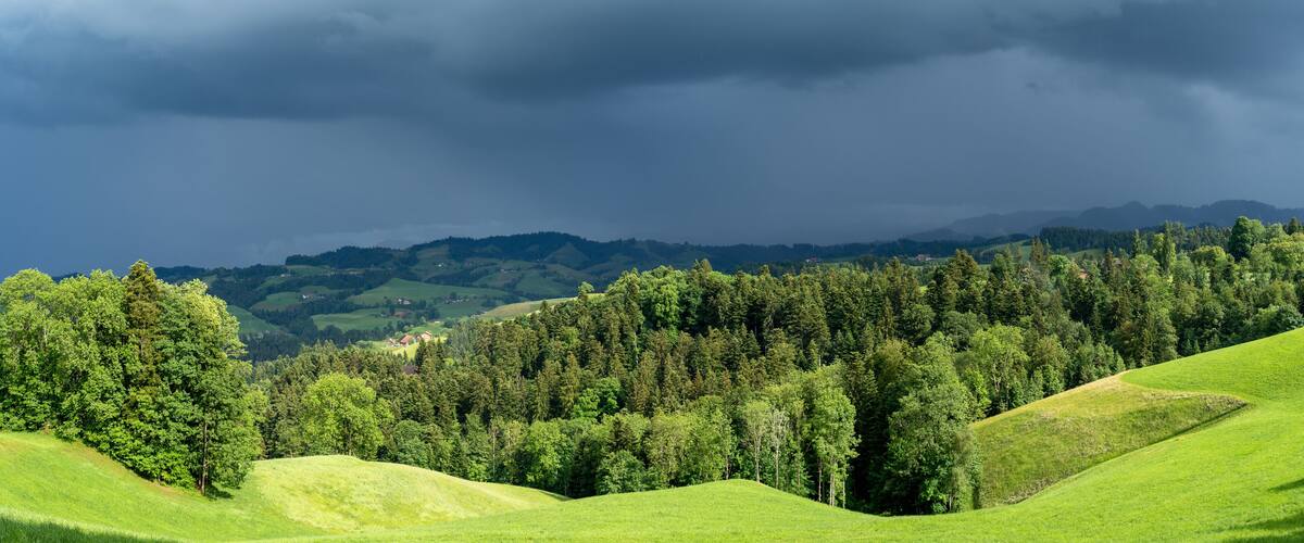 Rolling green hills, dense forests, and distant mountains under a cloudy sky.