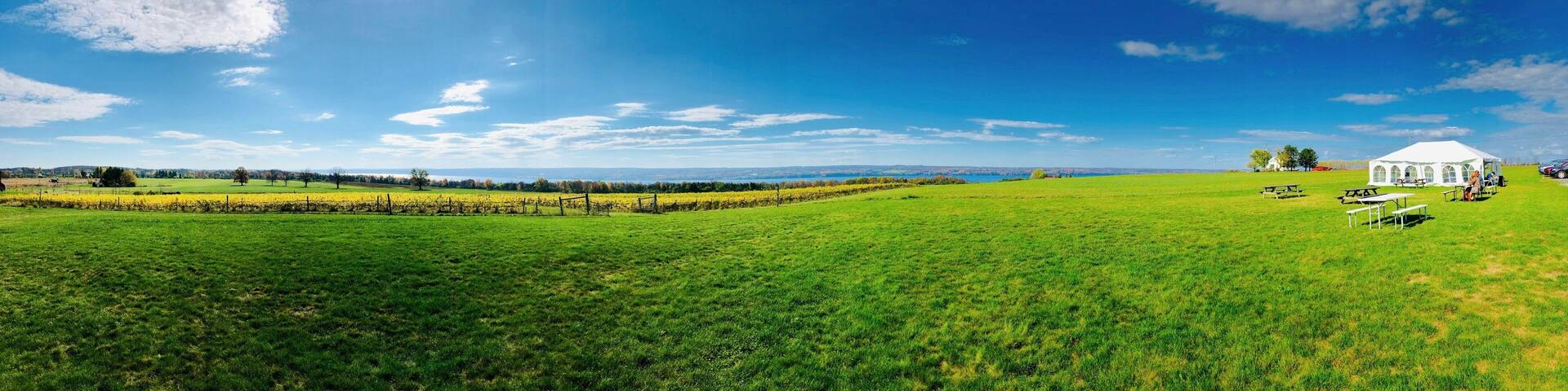 Rural landscape panorama with green field, vineyard on Cayuga Lake, in Finger Lakes region, New York. Wine tasting with tent and outdoor table settings from the winery