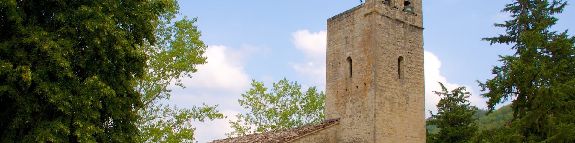Montemonaco welches beinhaltet historische Architektur und Kirche oder Kathedrale