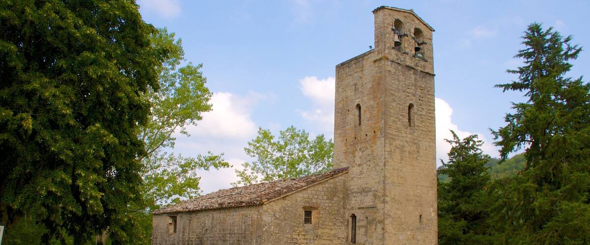 A stone church with a bell tower surrounded by trees.