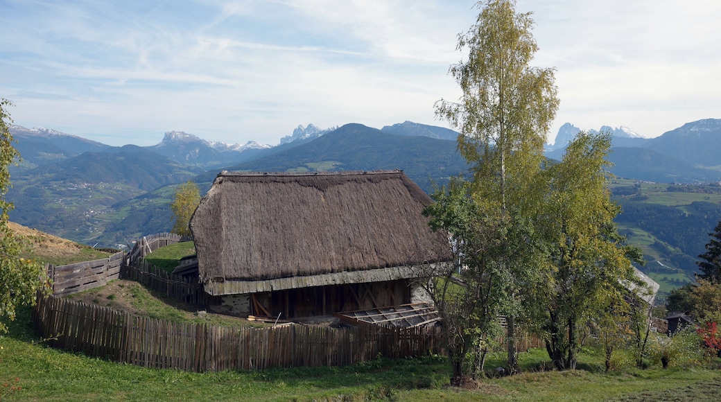 Thatched roof from West at the farmhouse Felder in Villanders