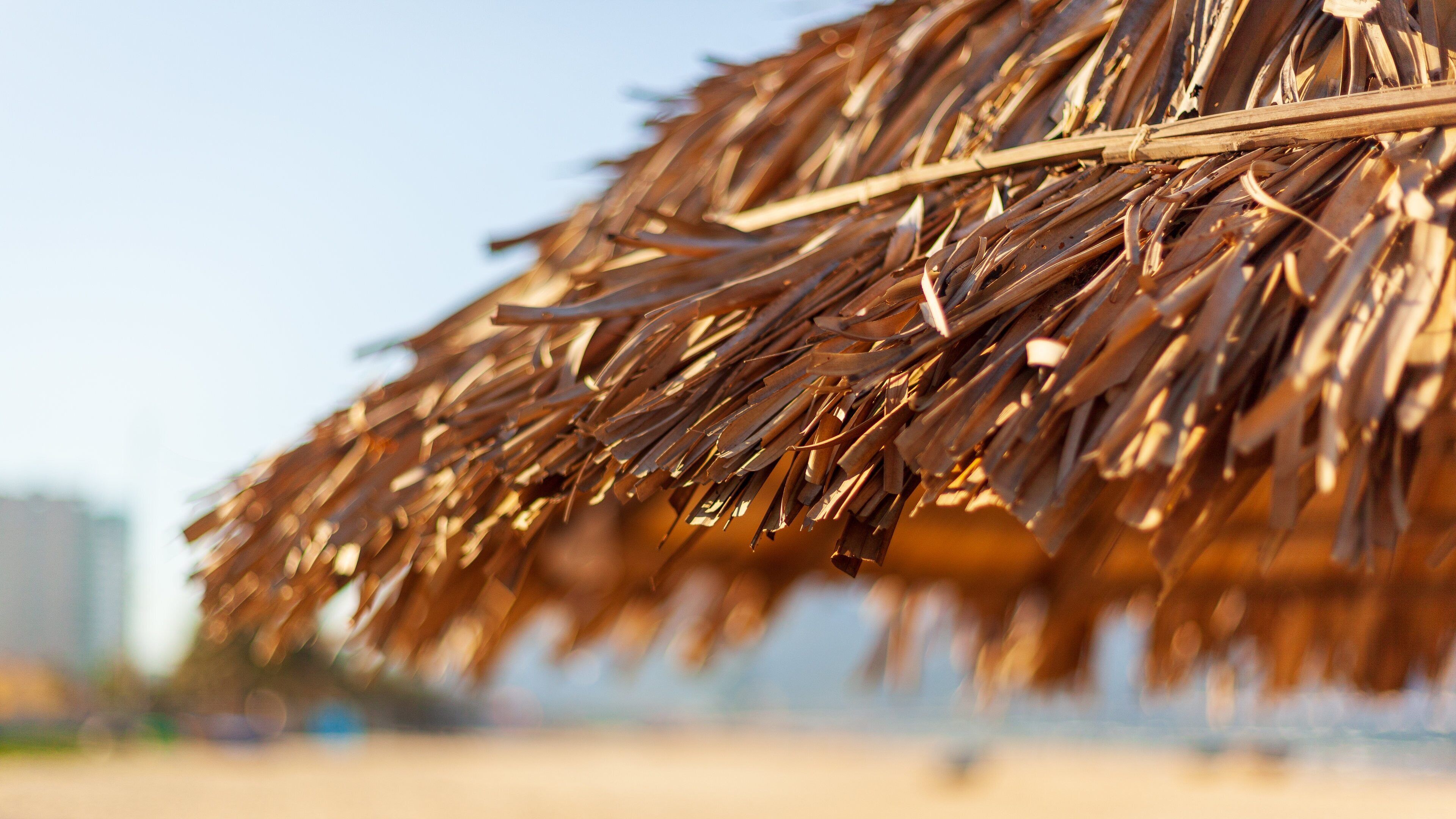 My Khe Beach featuring tropical scenes