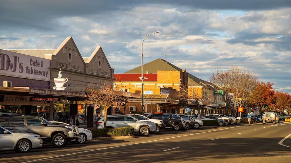 A street lined with shops, including DJ's Cafe & Takeaway, and parked cars.