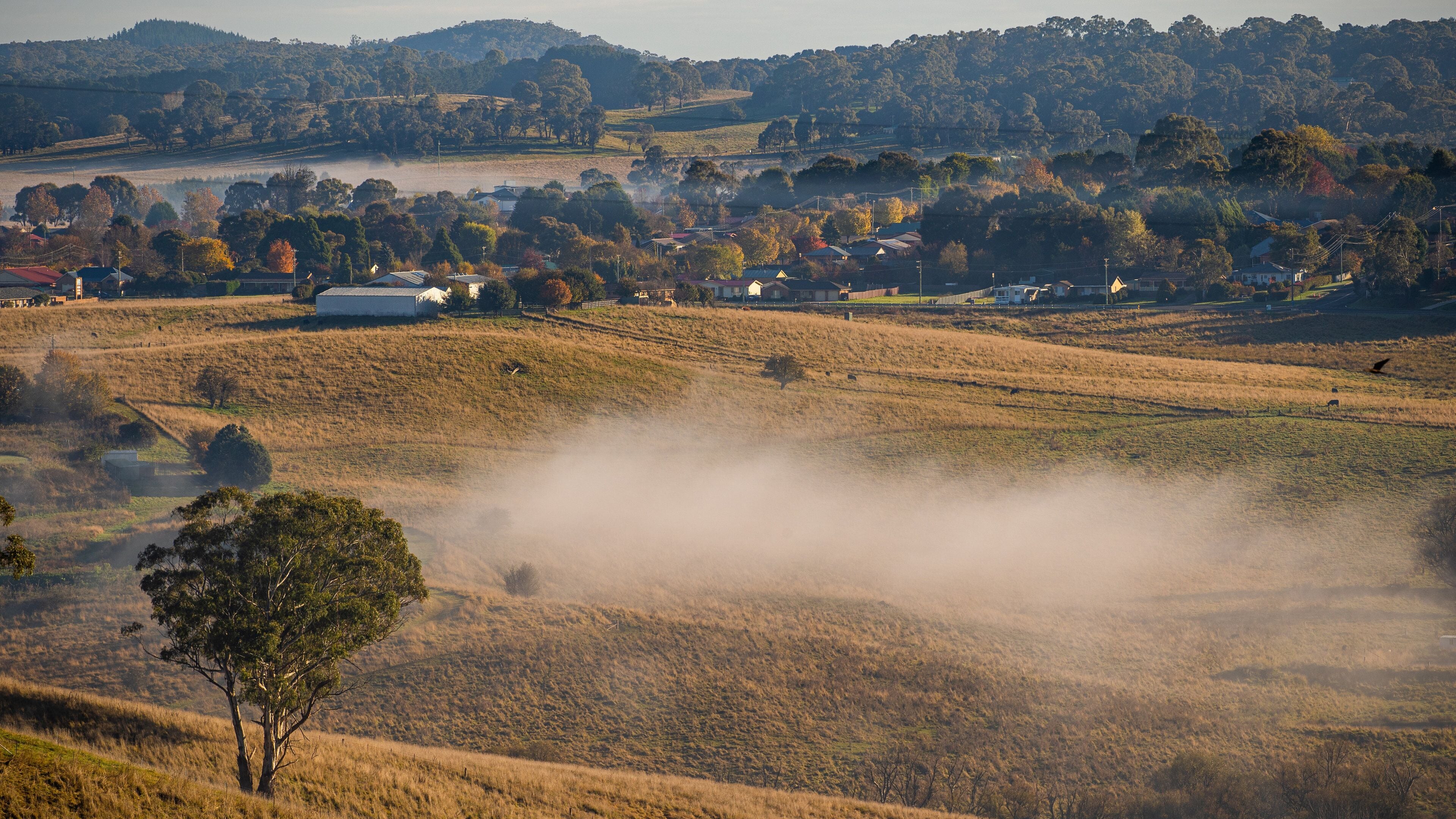 A rural landscape with rolling hills, a misty field, and scattered houses.