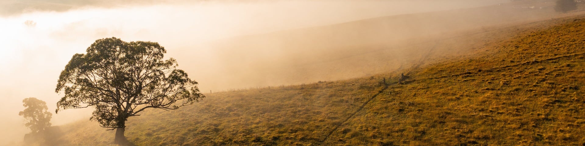 Oberon which includes mist or fog, a sunset and landscape views