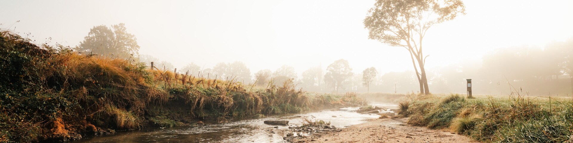 Orilla de río con un sendero arenoso, un árbol y una atmósfera brumosa.