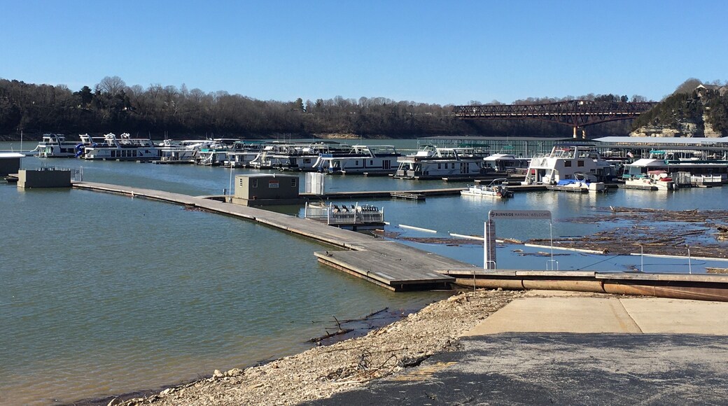 Beautiful Marina in Burnside. The ducks got really close to us.