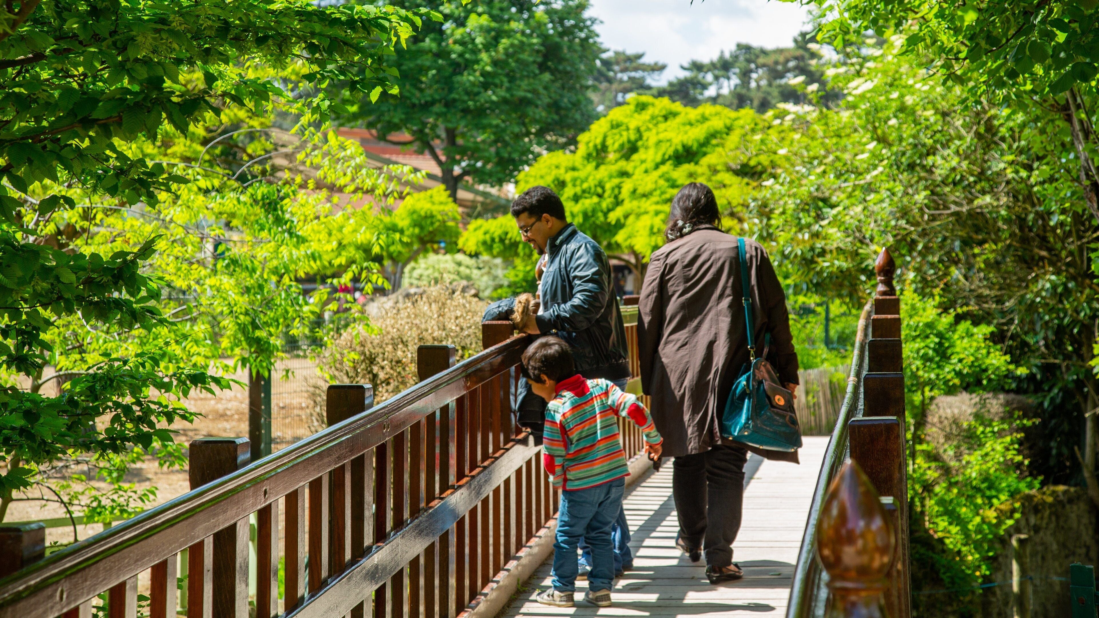 Jardin d\'Acclimatation showing a bridge as well as a family
