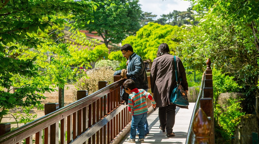 Jardin d\'Acclimatation showing a bridge as well as a family