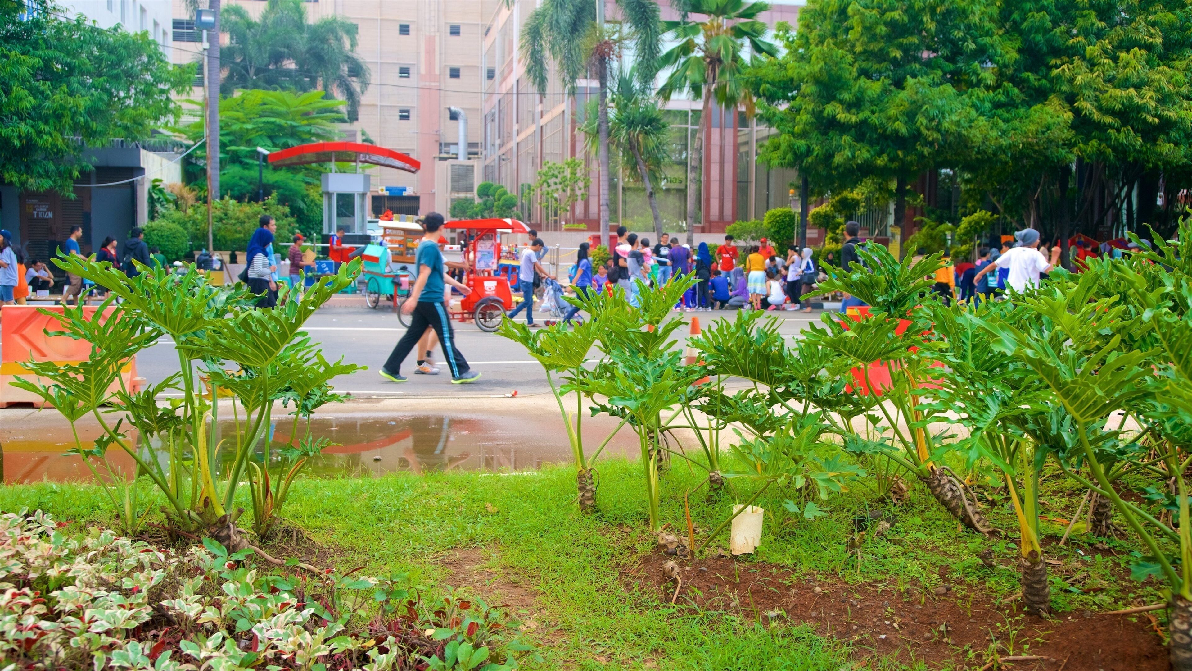 Jakarta which includes a garden as well as a small group of people