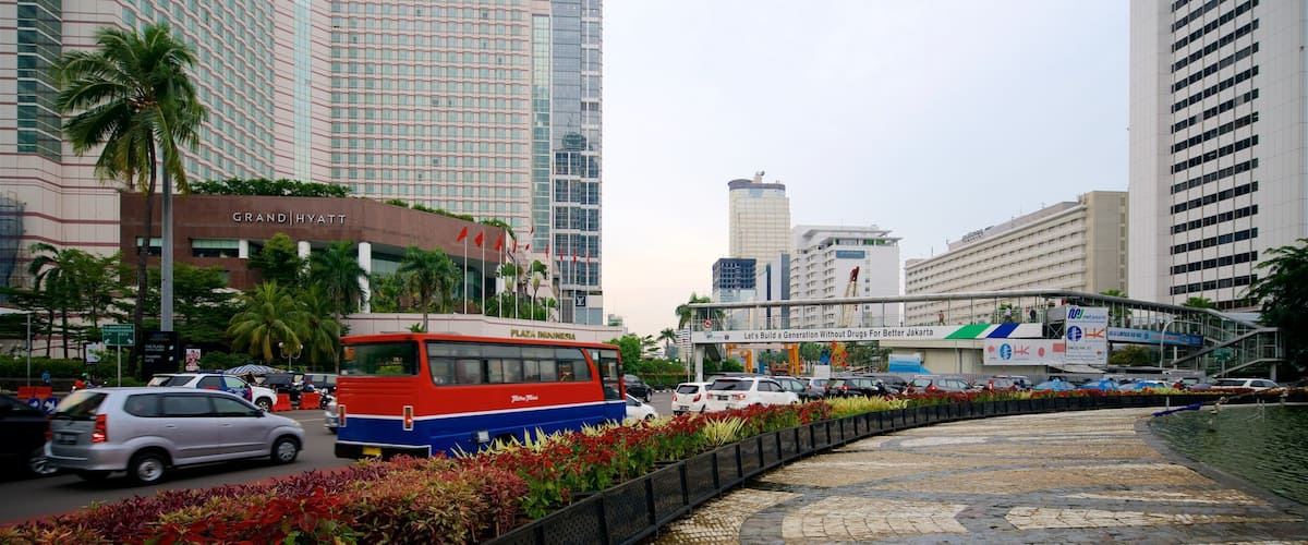 Jakarta showing a city, flowers and a square or plaza