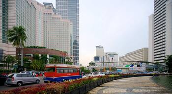Jakarta showing a square or plaza, a city and flowers