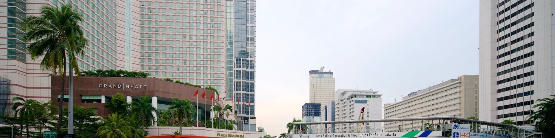 雅加達 呈现出 廣場, 城市 和 花卉