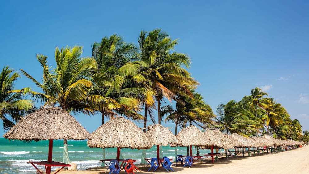 A beach with thatched umbrellas and palm trees.