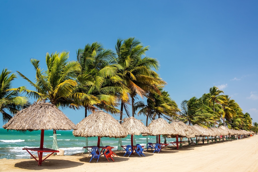 A beach with thatched umbrellas and palm trees.