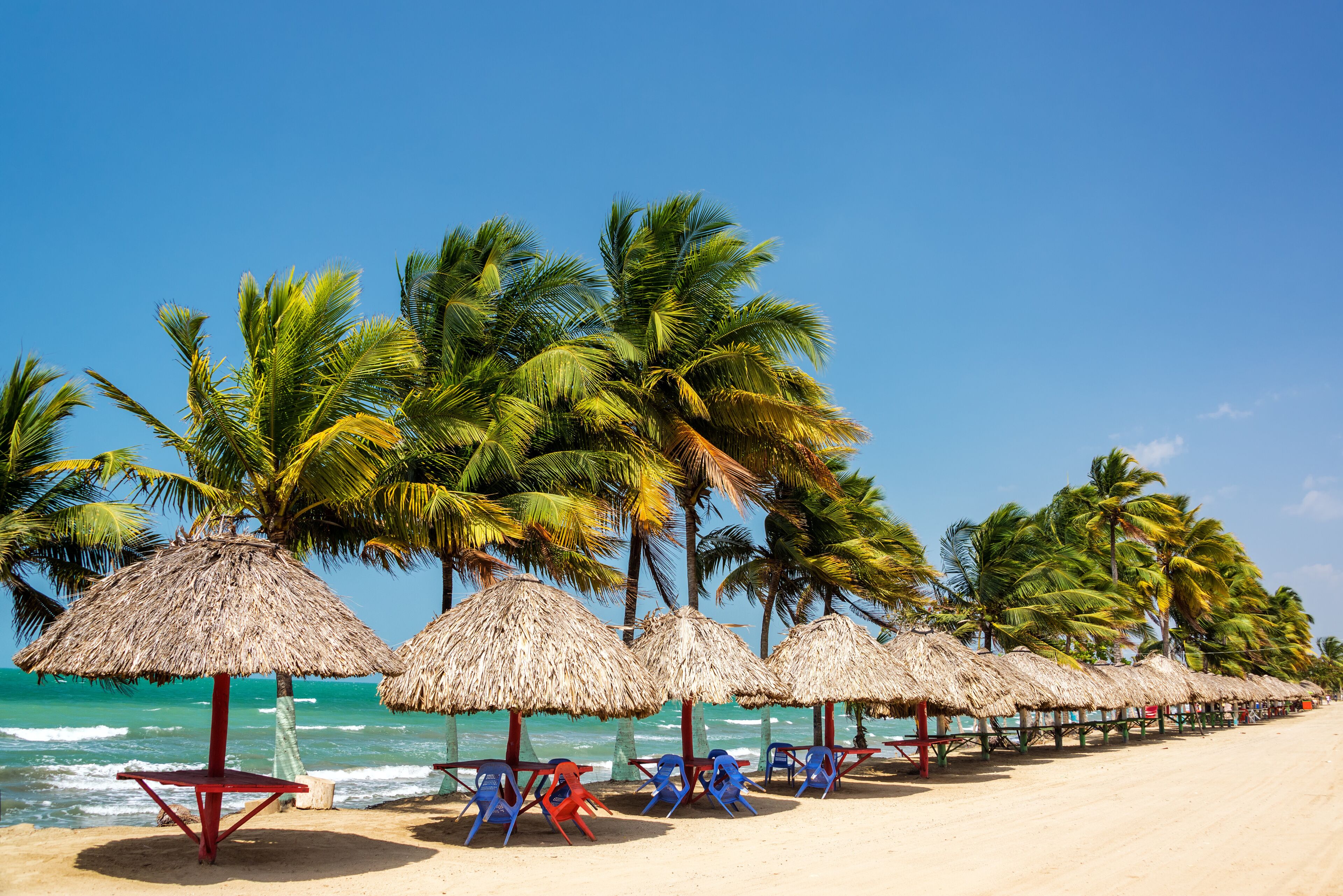A beach with thatched umbrellas and palm trees.