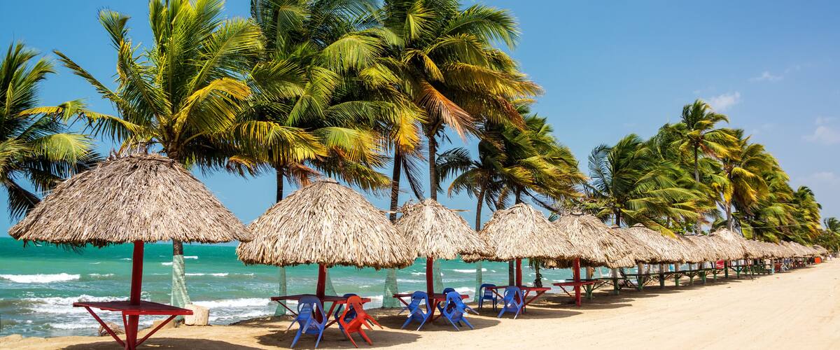 A beach with thatched umbrellas and palm trees.