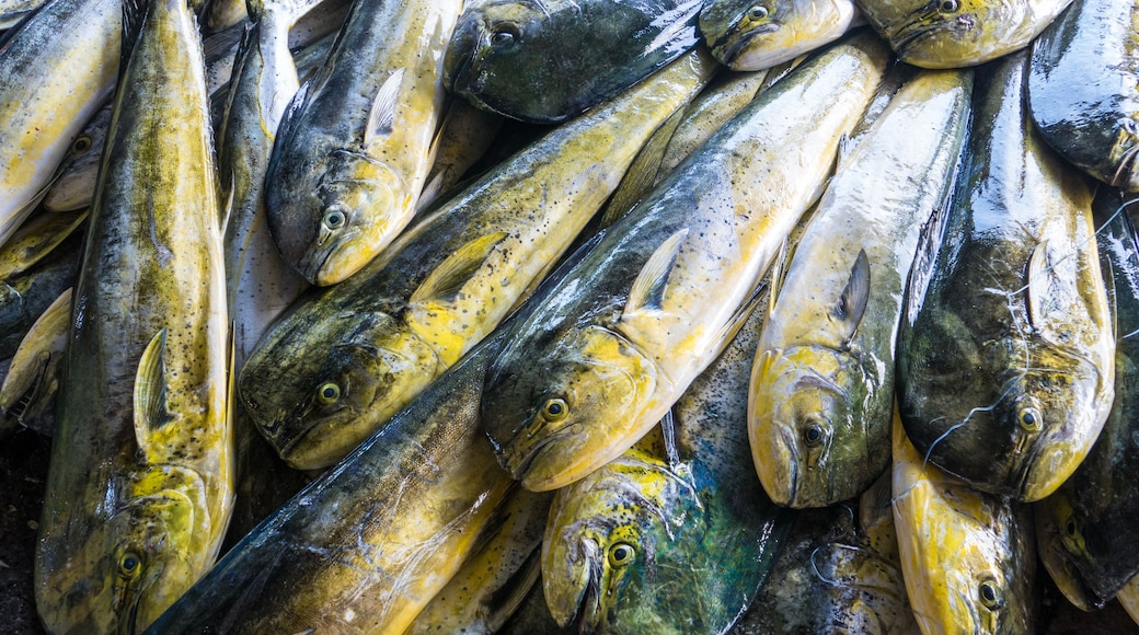 Fishing boats docked Chenggong Fishing Harbor remove fishing goo