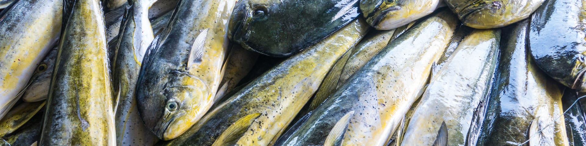 Fishing boats docked Chenggong Fishing Harbor remove fishing goo