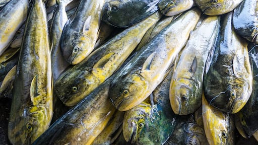 Fishing boats docked Chenggong Fishing Harbor remove fishing goo