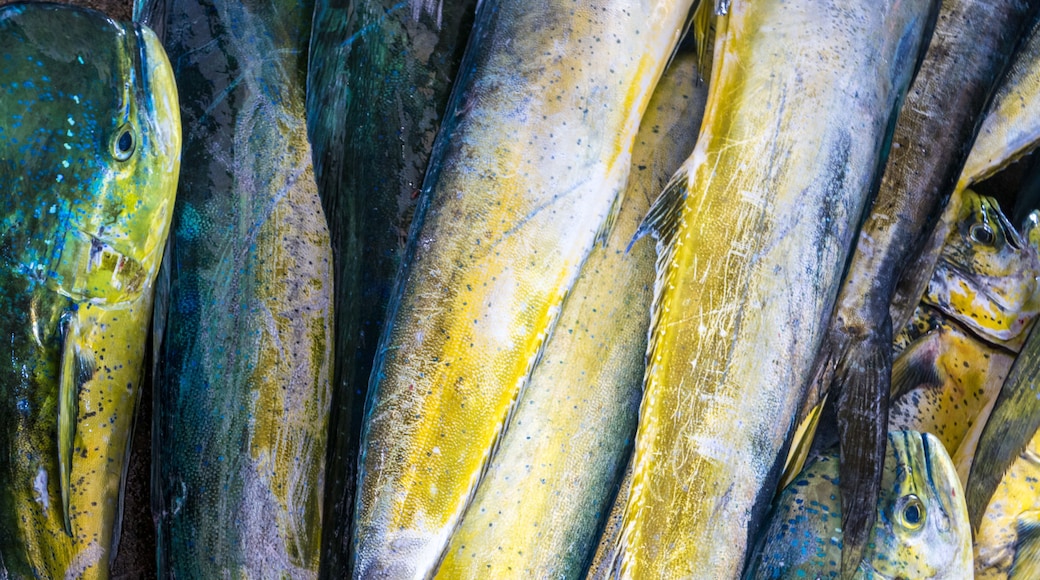 Fishing boats docked Chenggong Fishing Harbor remove fishing goo