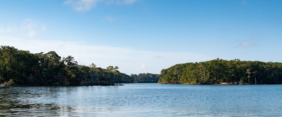 Corbitt Creek off of the Potomic River