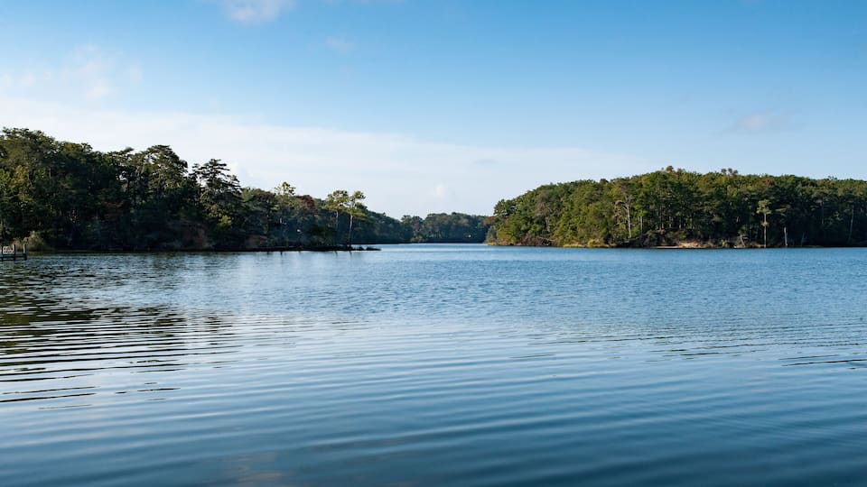 Corbitt Creek off of the Potomic River