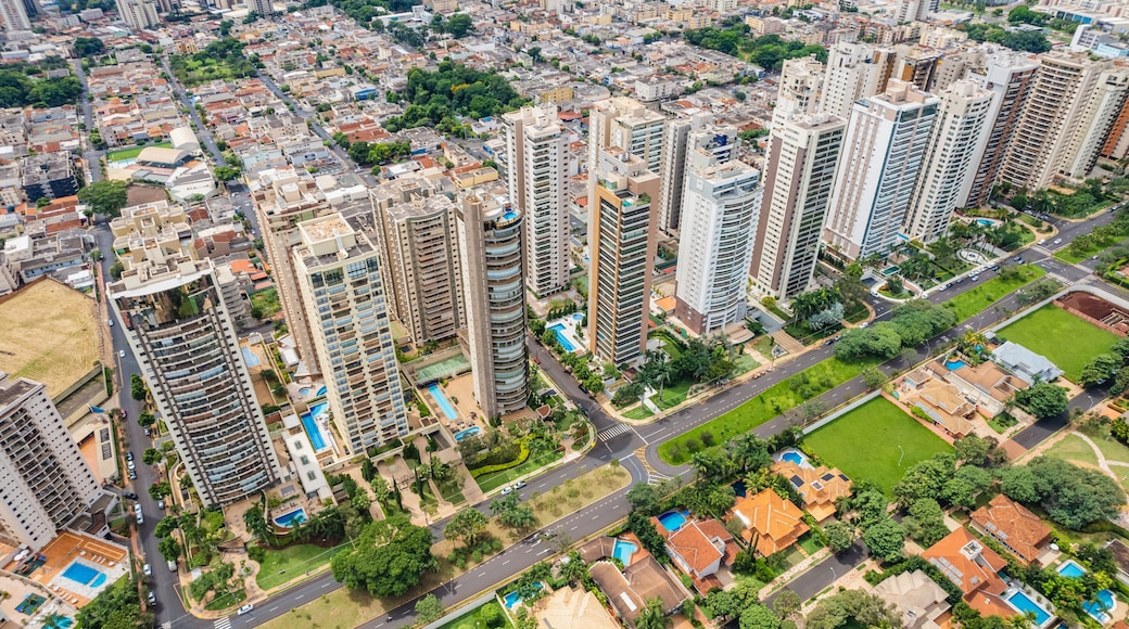 Ribeirão Preto, São Paulo / Brazil - Circa march, 2022: Avenida Professor João Fiúza, the most famous avenue in Ribeirão Preto, São Paulo / Brazil