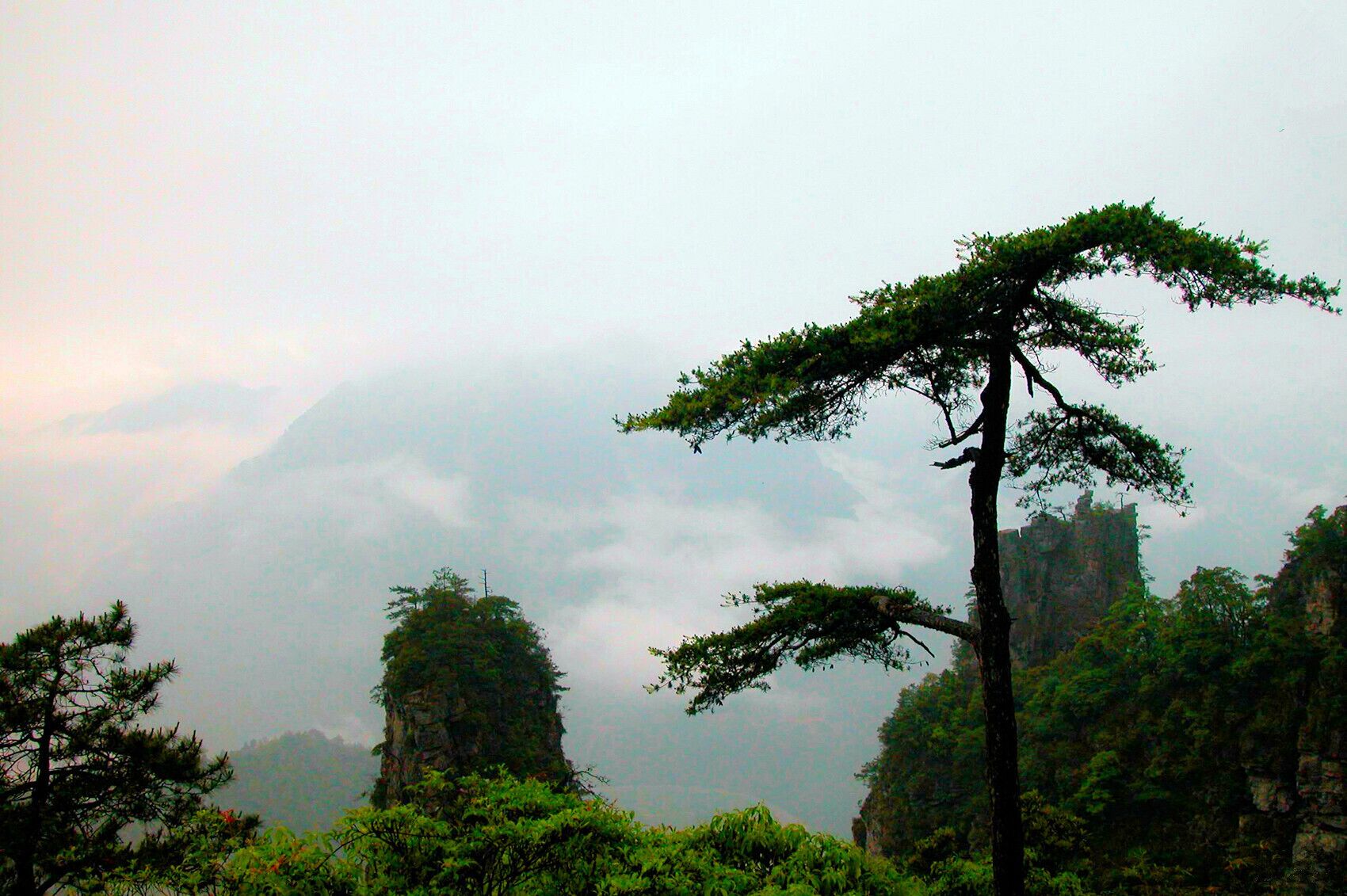  #LianhuaMountain Tourism Scenic Area in Jinxiu. #金秀莲花山.

https://twitter.com/Beautifulgx