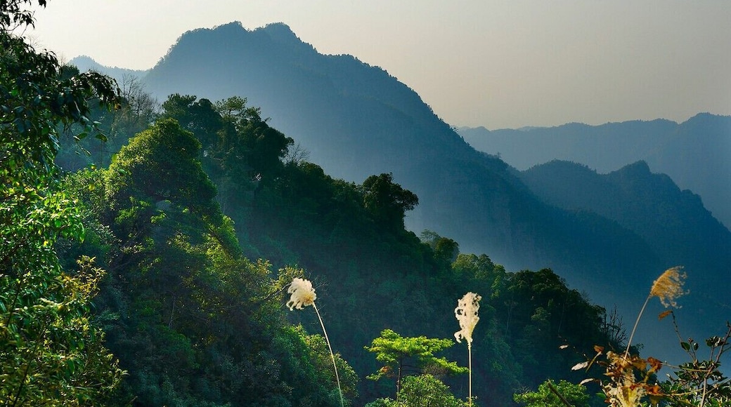 #LianhuaMountain Tourism Scenic Area in Jinxiu. #金秀莲花山.
https://twitter.com/Beautifulgx