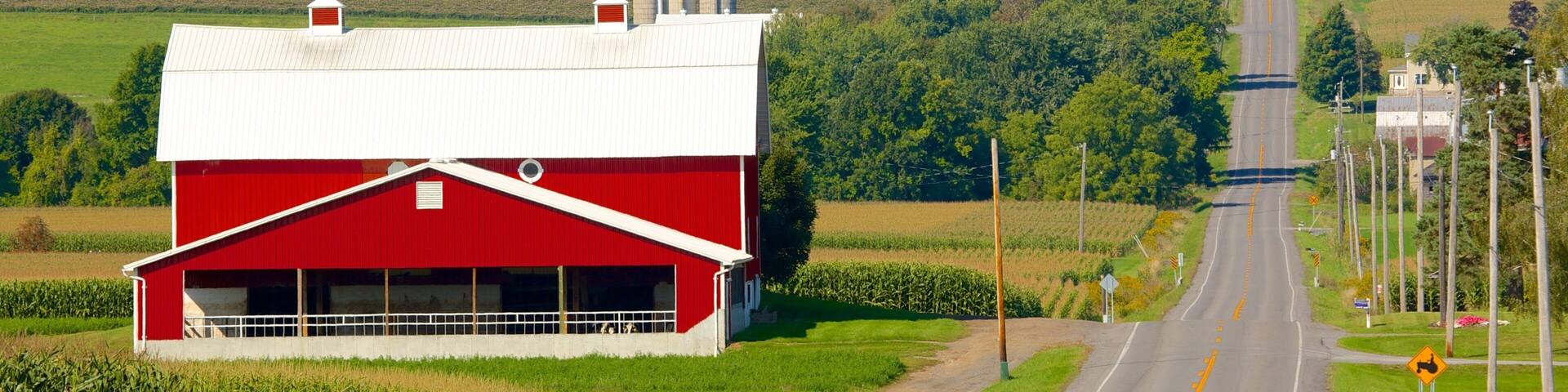 A red barn, a road, and green fields.