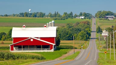 ํ์นดํธ ์ฃผ๋ฆฝ๊ณต์ ์ ํน์ง ๋์ฅ