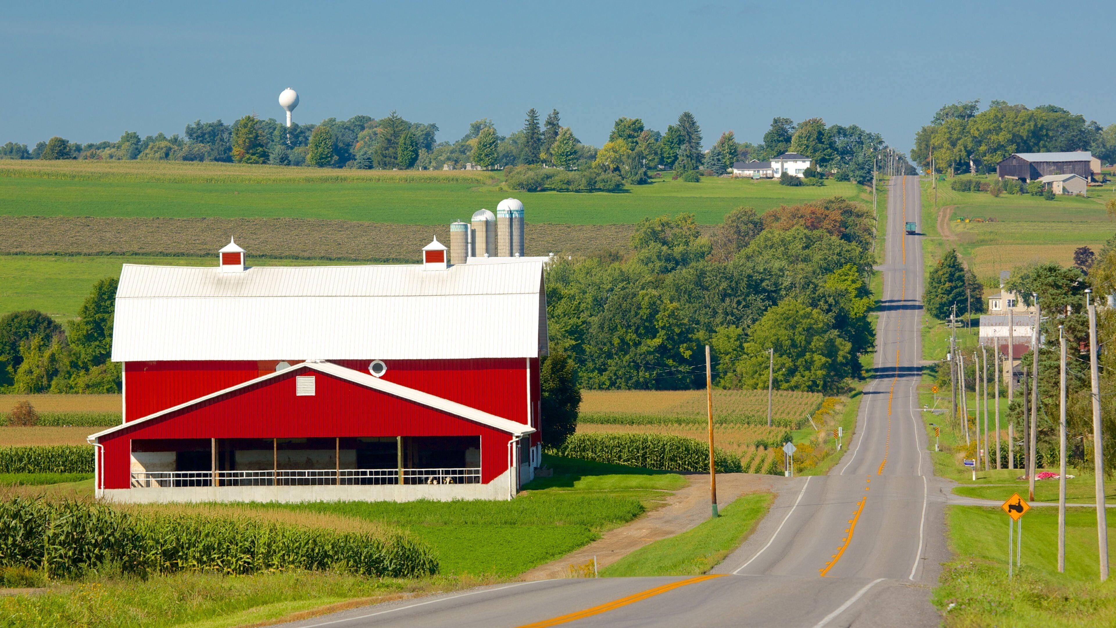 A red barn, a road, and green fields.